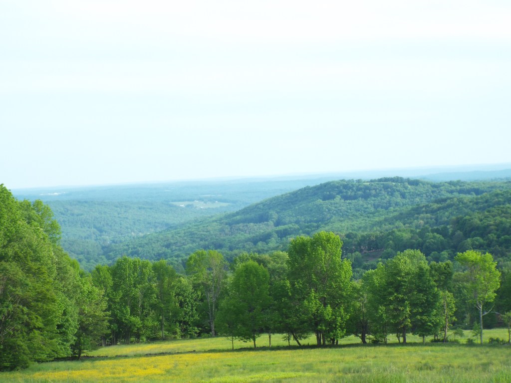 “Mysterious Ways Alright” by Tim&nbsp;Suermondt