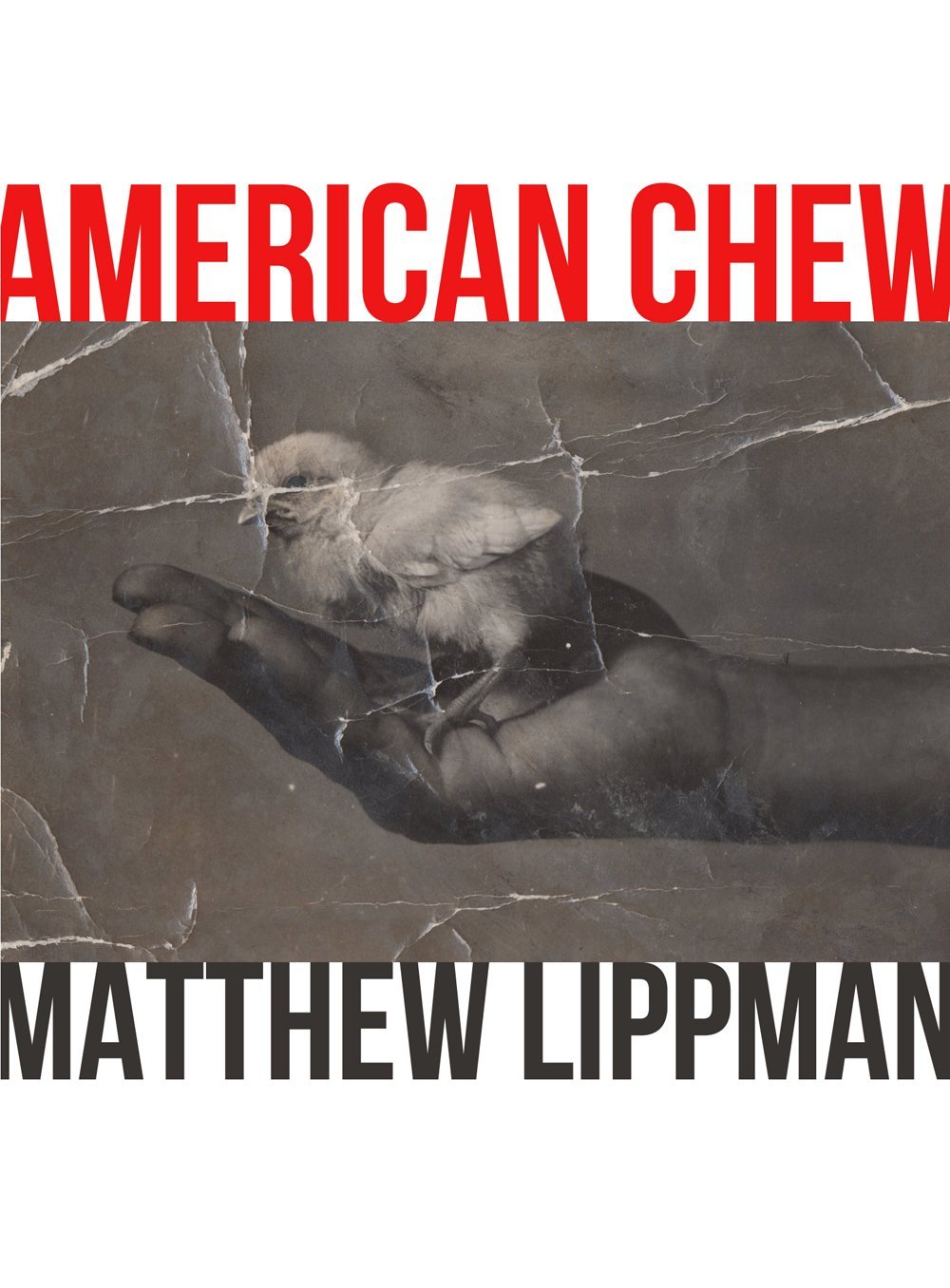 “Write like you play”: An Interview with Matthew&nbsp;Lippman