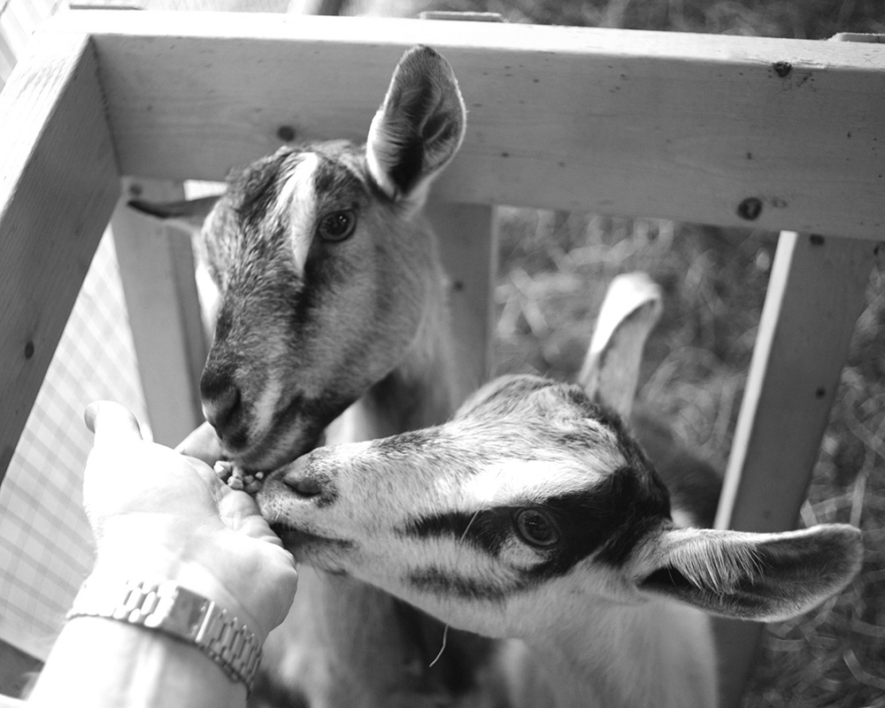 “Utopia, Texas” by Tracey&nbsp;Knapp