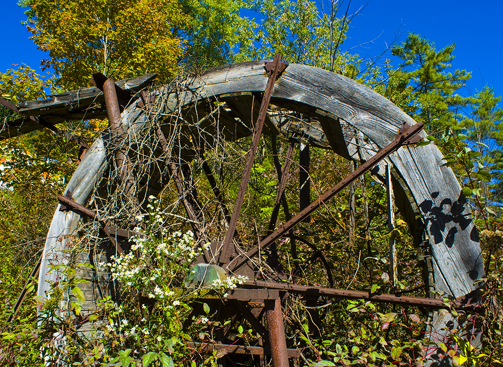 “Sakura” by Lori A.&nbsp;May