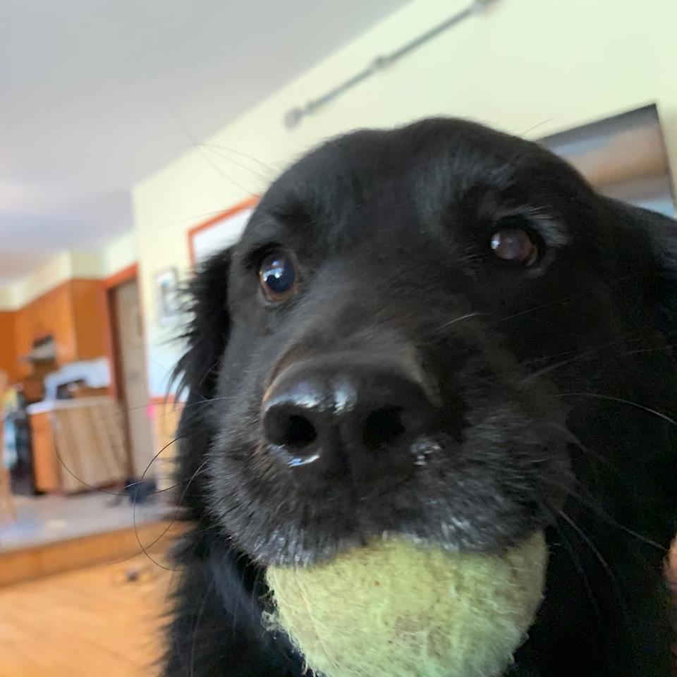 “Enlightenment” by Virginia&nbsp;Konchan