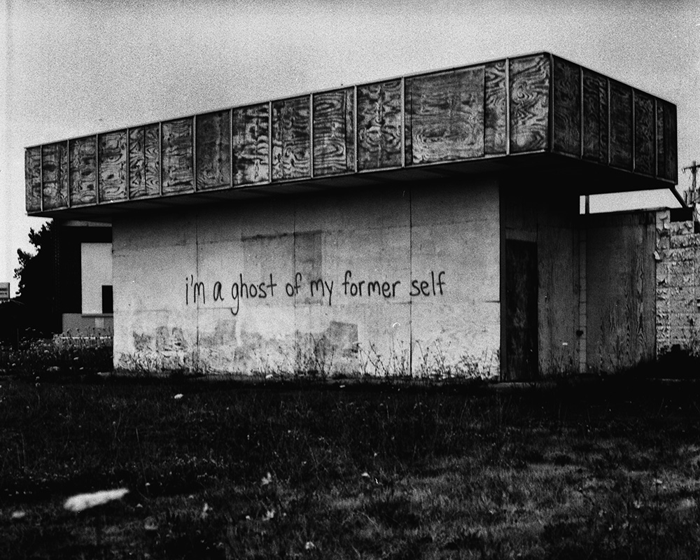 “So Now You Have To Write About the Dead Pheasant” by Karen&nbsp;Skolfield