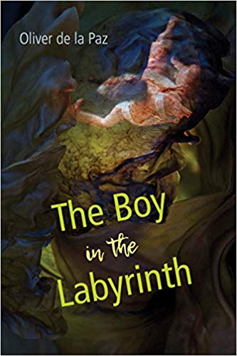 The Boy in the Labyrinth Cover