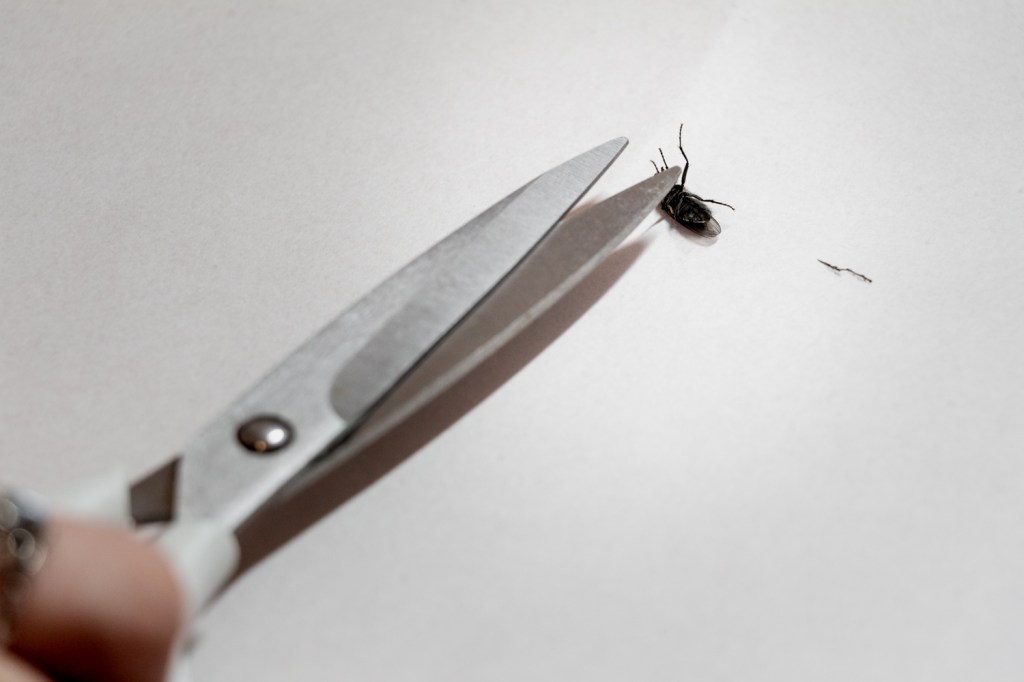 “Light From a Thousand Stars” by Cathy&nbsp;Ulrich