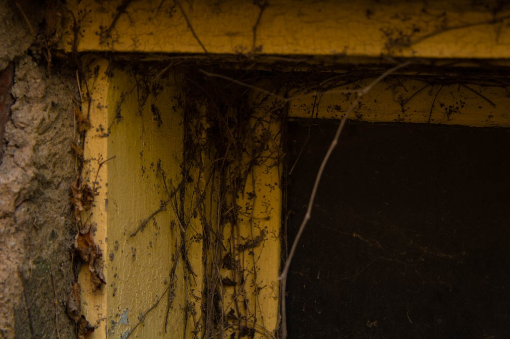 “Bailing Hay by Headlight” by Sheryl&nbsp;Monks