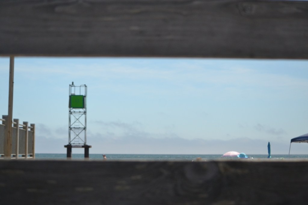 “Maintenance Record” by Vivian&nbsp;Wagner