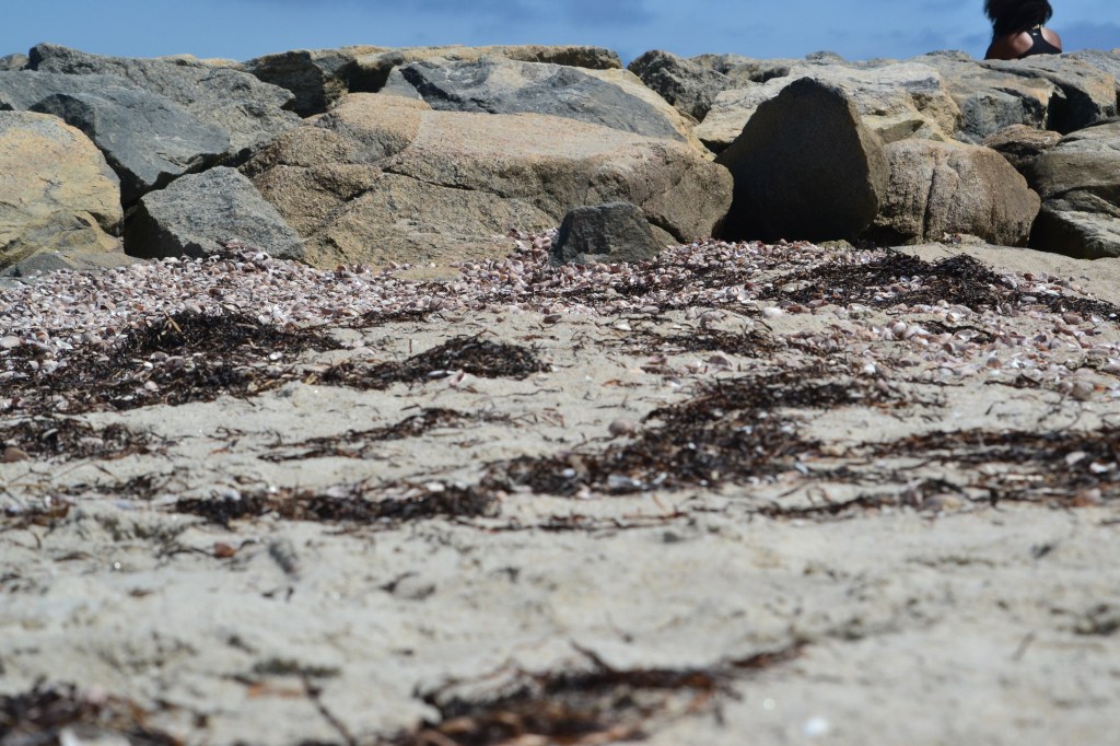 “Learning to Teach Teachers to Teach Children About God” by Dan&nbsp;Ornstein