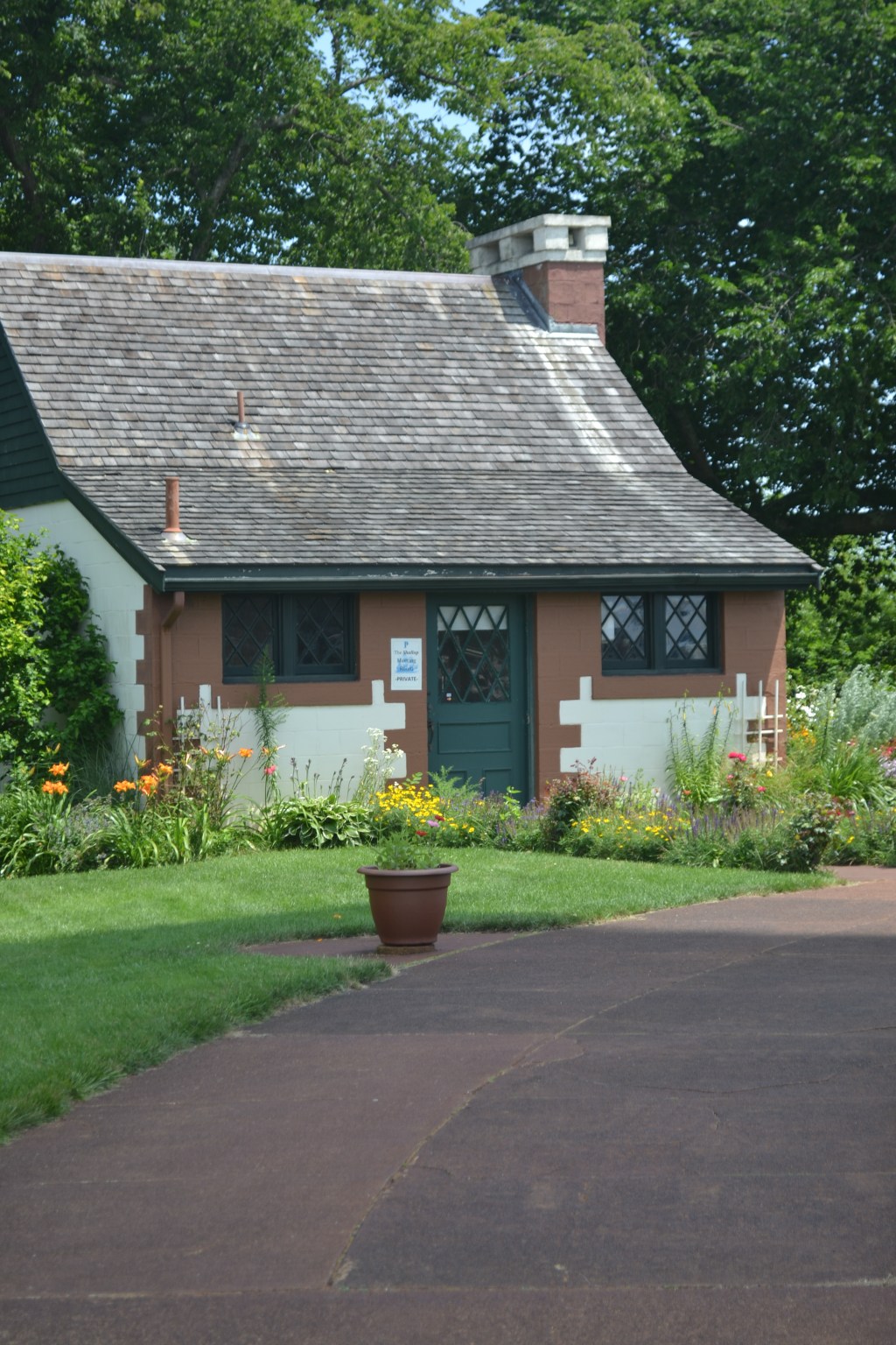 “Adaptation” by Rori Leigh&nbsp;Hoatlin