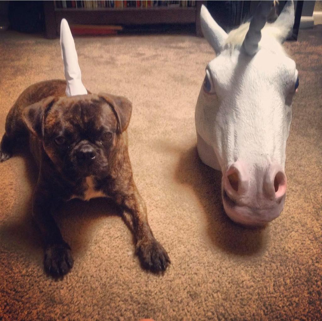 “Legendary” by Vivian Faith&nbsp;Prescott