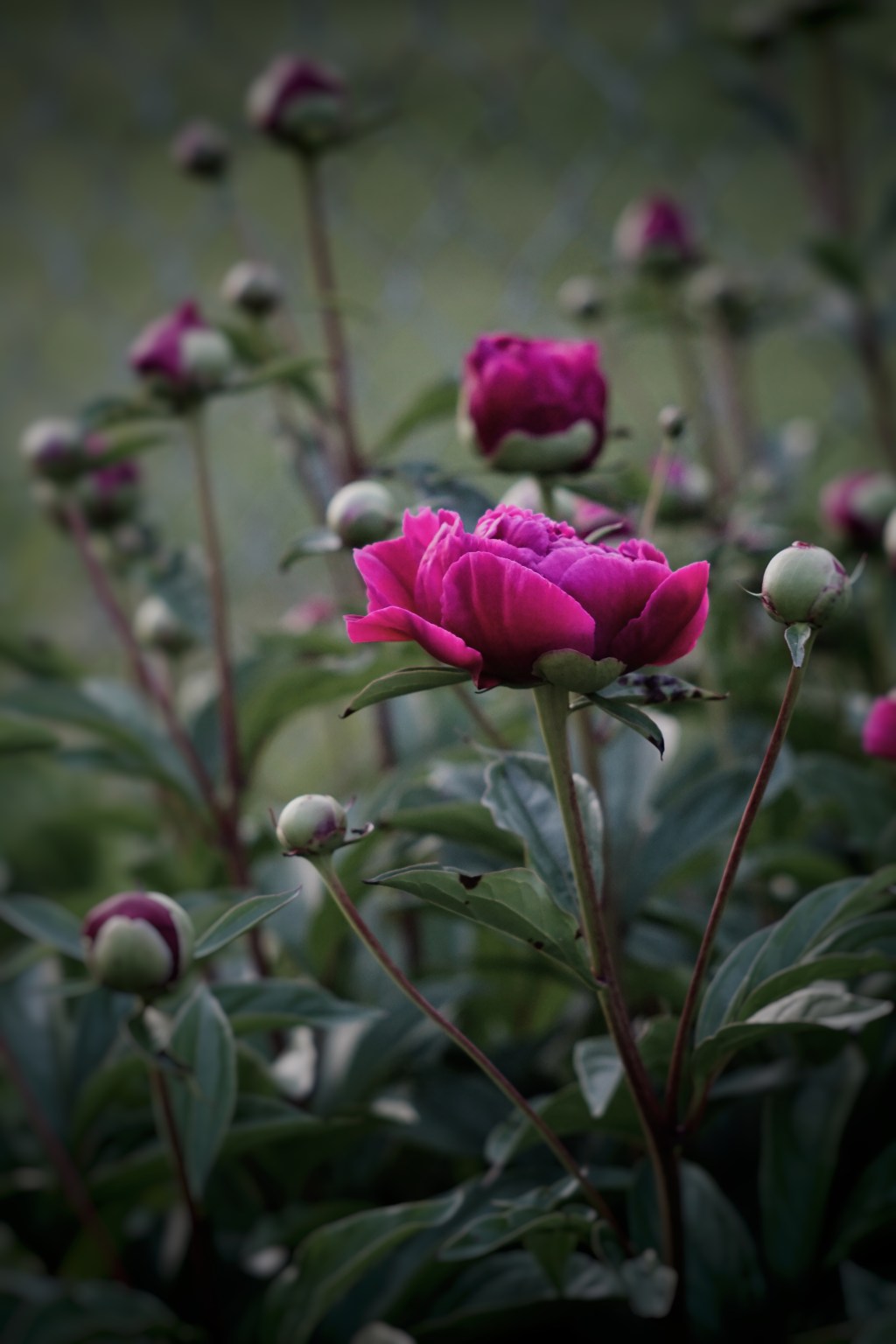 “After Two Months” by Kris&nbsp;Bigalk