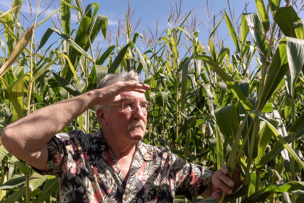 “2007” by Tom&nbsp;McAllister