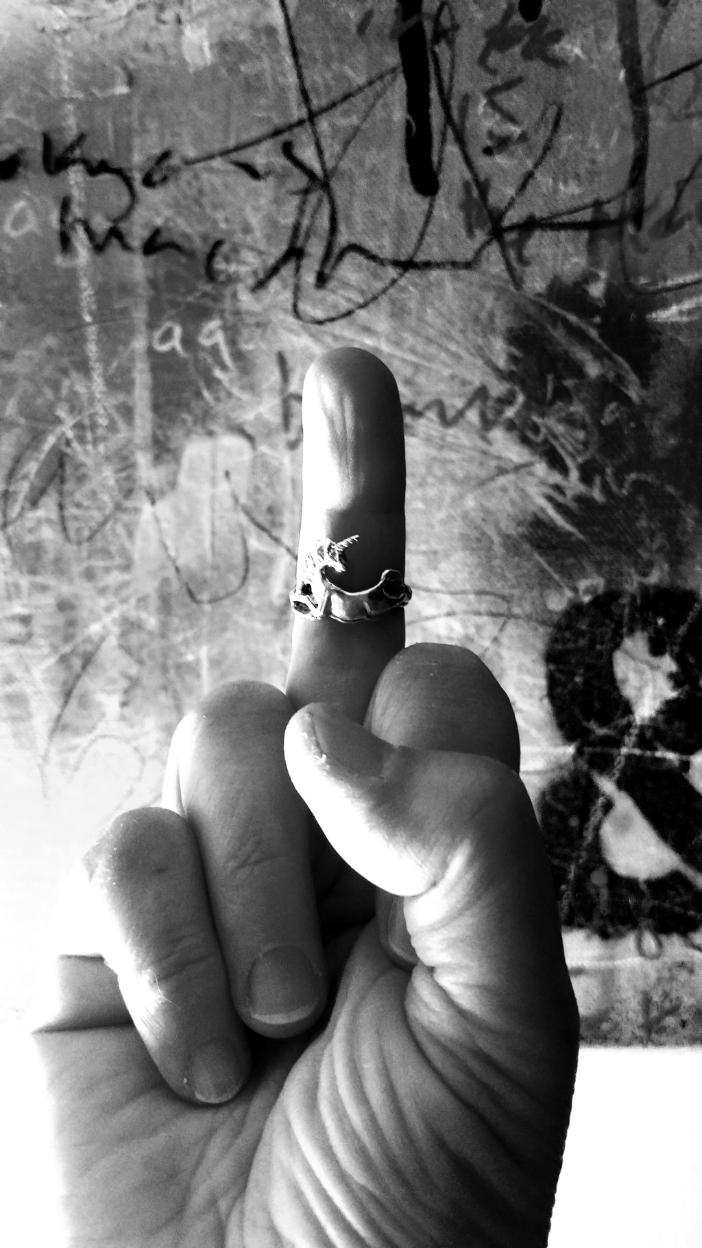 “Unicorn Ring” by Tricia Marcella&nbsp;Cimera