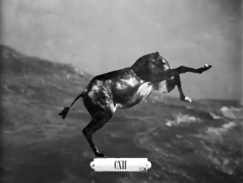 Three Prose Poems by Lori&nbsp;Cramer