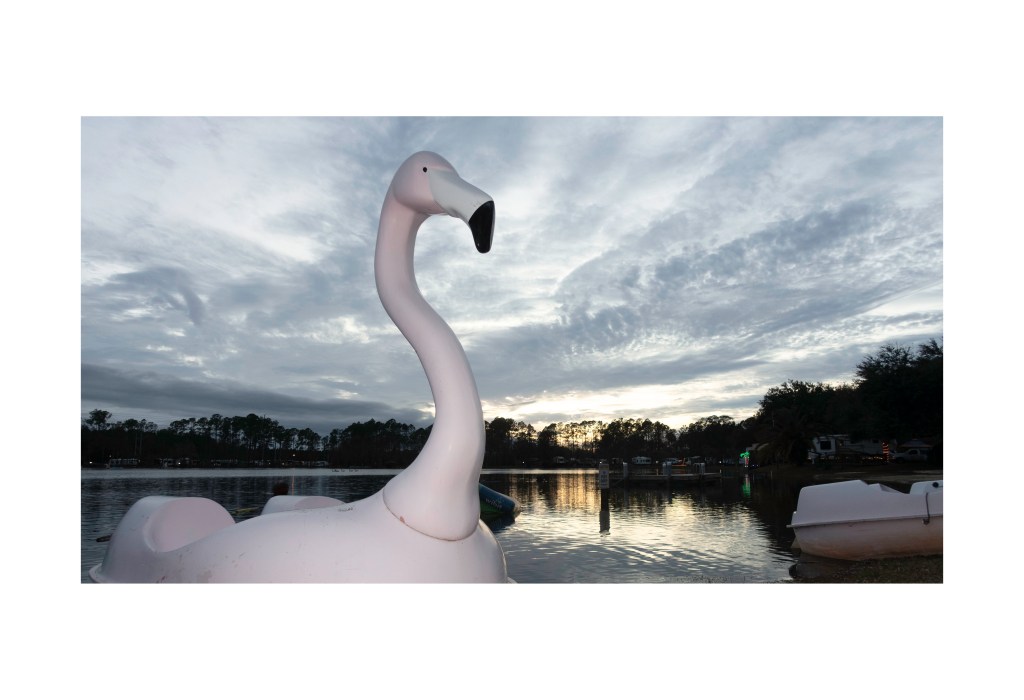 “A Sestina for My Father’s Funeral” by Sunita&nbsp;Theiss