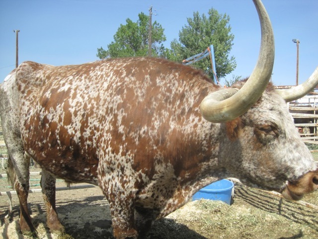 “You Ain’t Shit” by Courtney&nbsp;LeBlanc