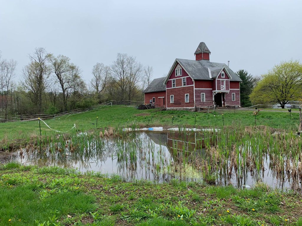 “Isolation // Description of Upstate New York” by Lisa&nbsp;Mottolo