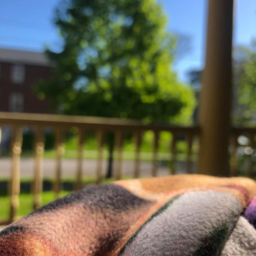 “Fleur’s Morning Thoughts/‘My Hercules’” by Amiah&nbsp;Taylor