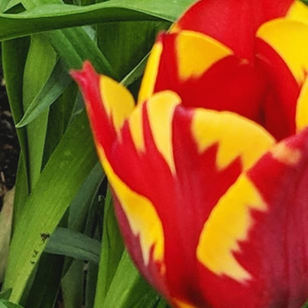 Two Poems by Oswaldo&nbsp;Vargas