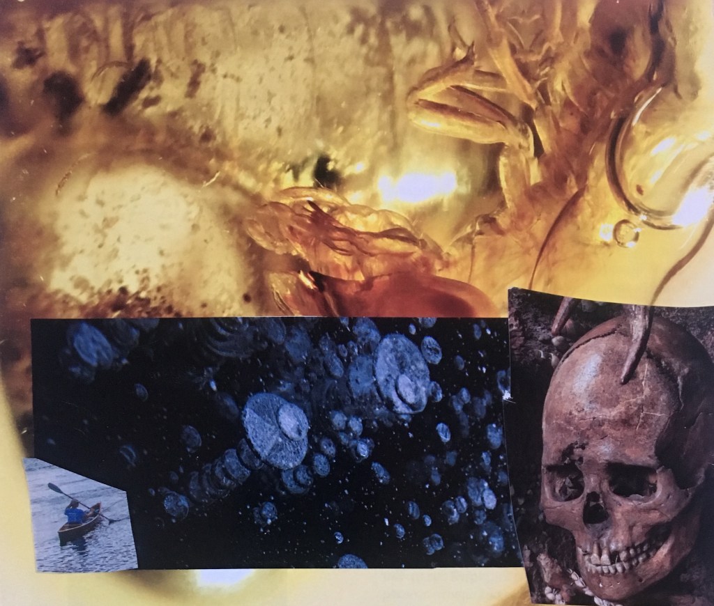 “On Trying to Write about the World During a Poetry Workshop” by Meghan&nbsp;Adler