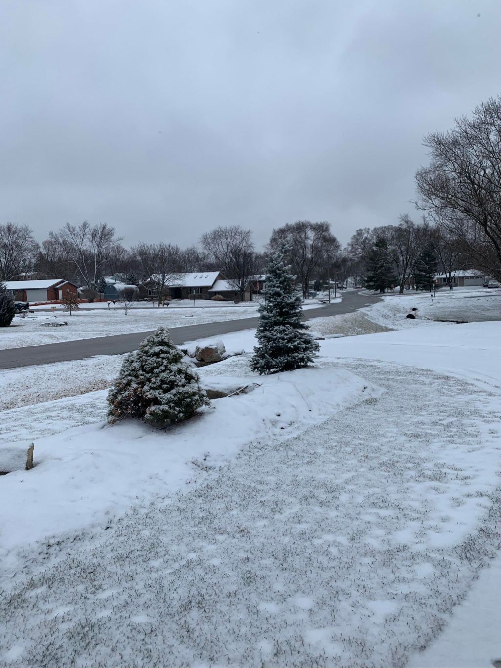 “wh[ether] fore[cast]” by Vanessa Couto&nbsp;Johnson