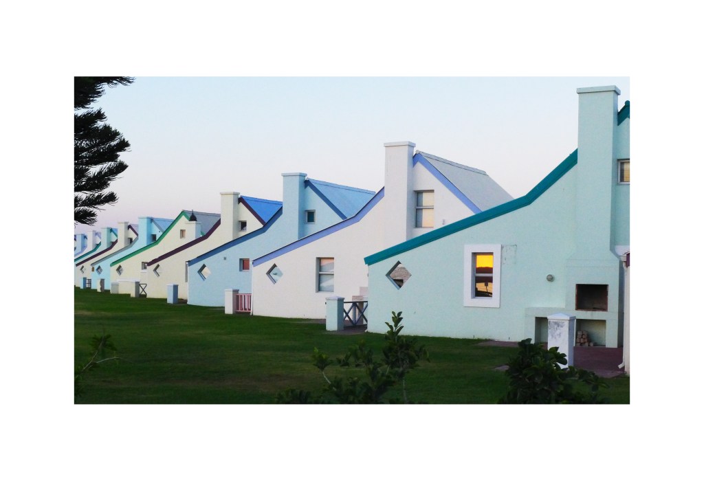 “The Reptile King of Albuquerque” by Whitney&nbsp;Hudak