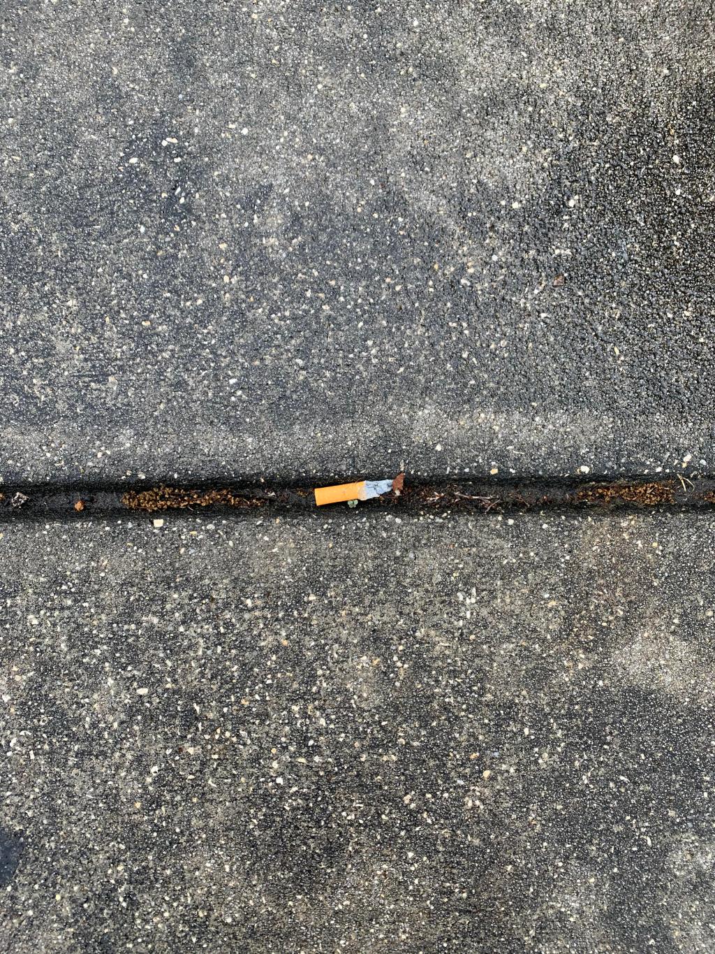 “At the Campus Martius Museum of the Old Northwest in Marietta, I Think About All the Other Parts of Ohio I’ve Neglected” by Mark Allen&nbsp;Jenkins