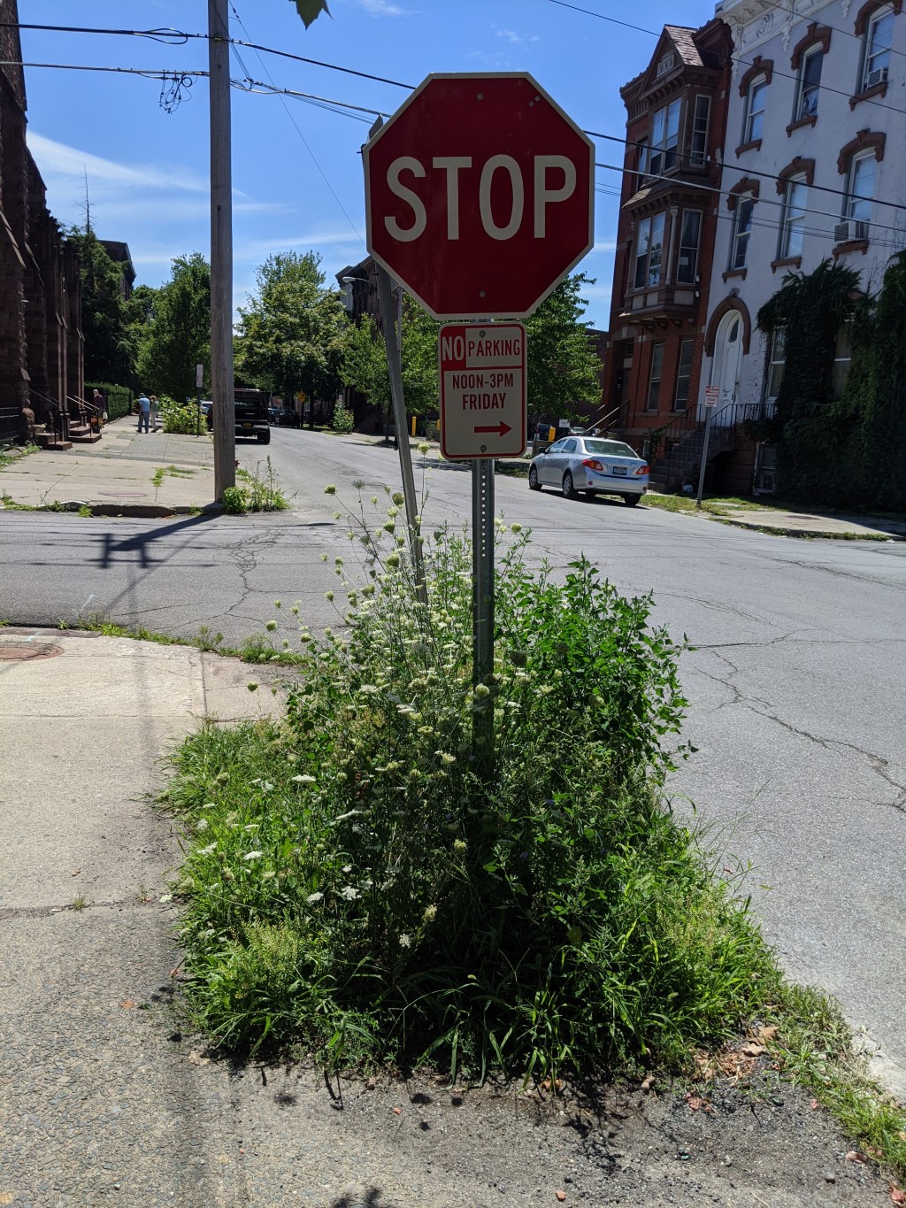 “Symbiosis” by Nisha&nbsp;Atalie