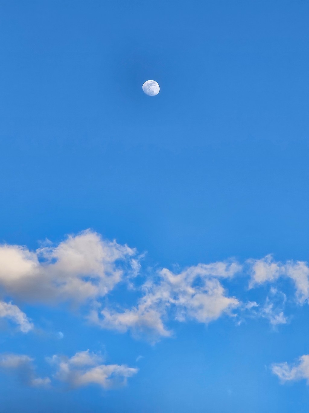 “[Untitled]” by Laura&nbsp;Carter