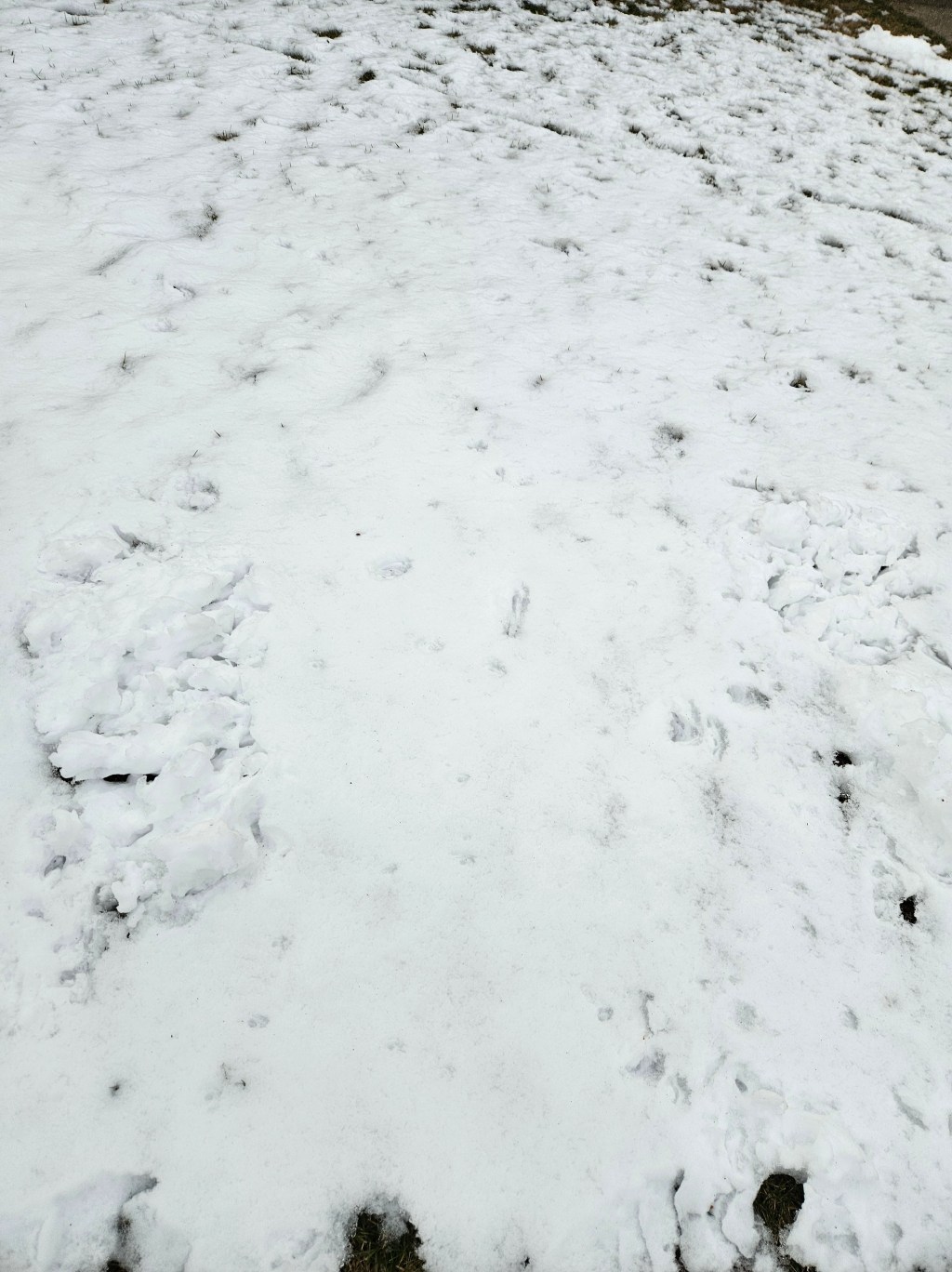 “Moonwalk” by Hilary&nbsp;Sideris