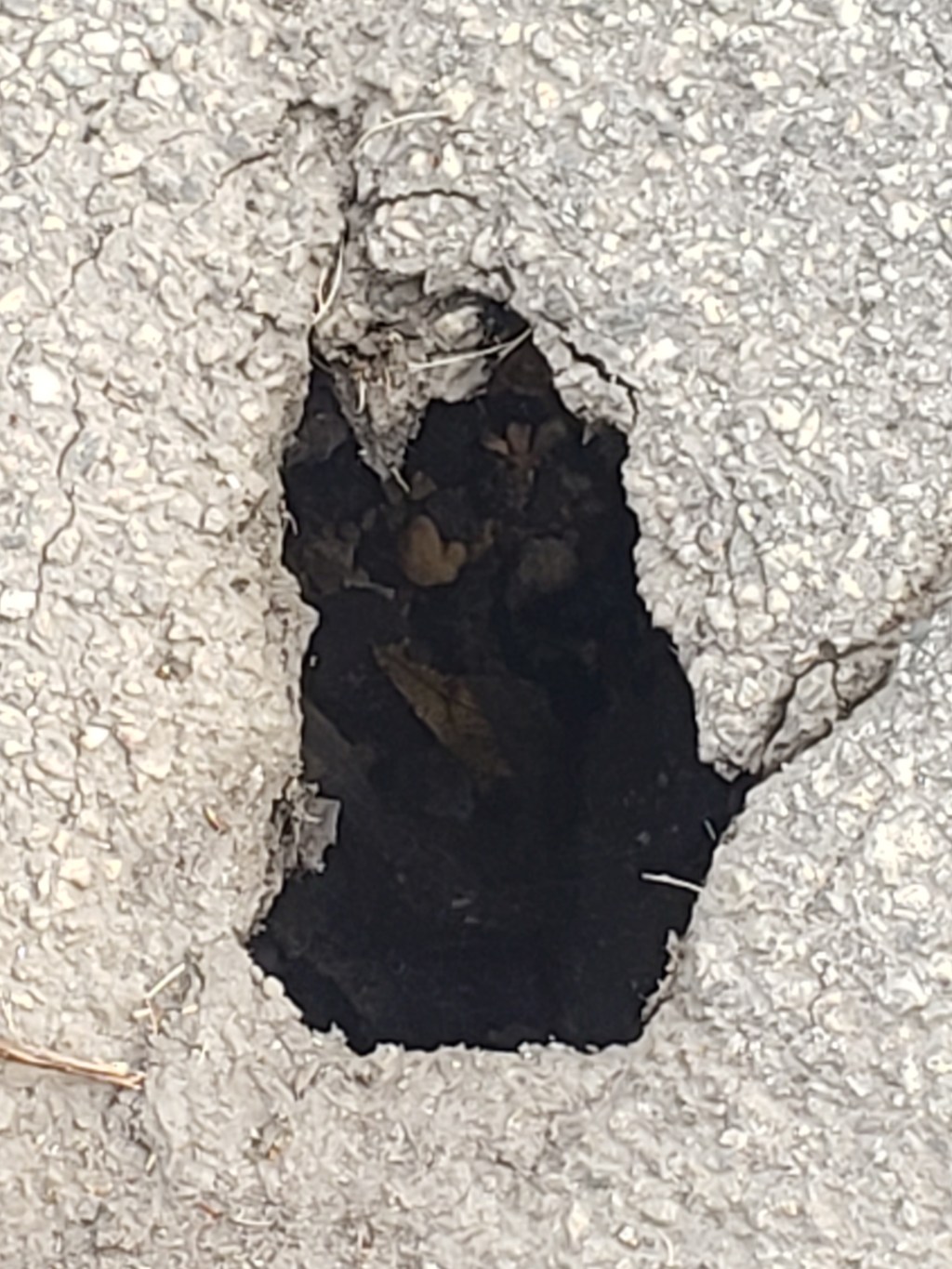 “If only you would give your mineral self away” by Hannah&nbsp;Kesling