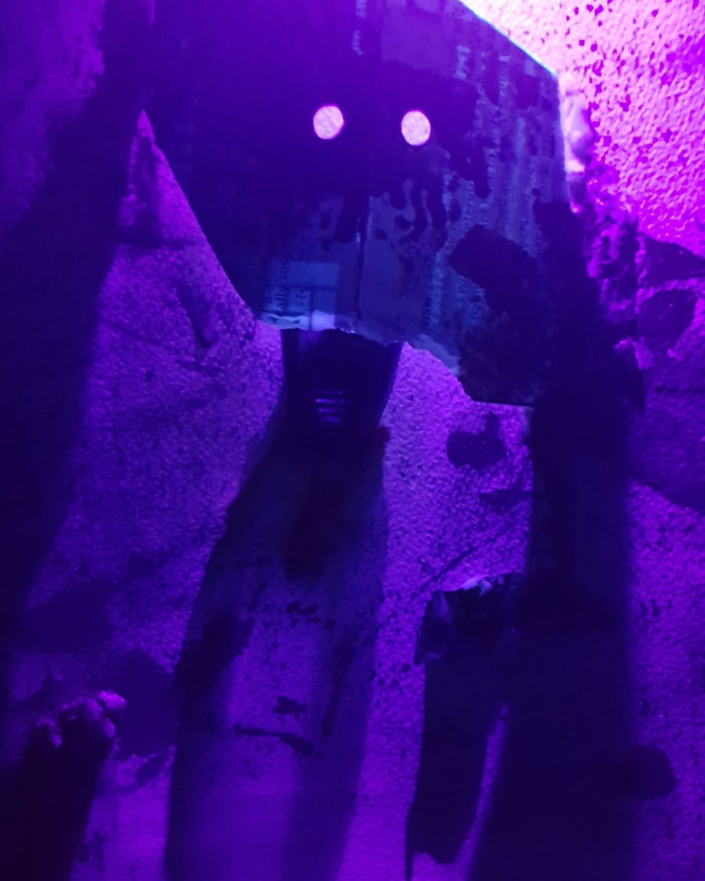 “The Drive” by Amy&nbsp;Holman