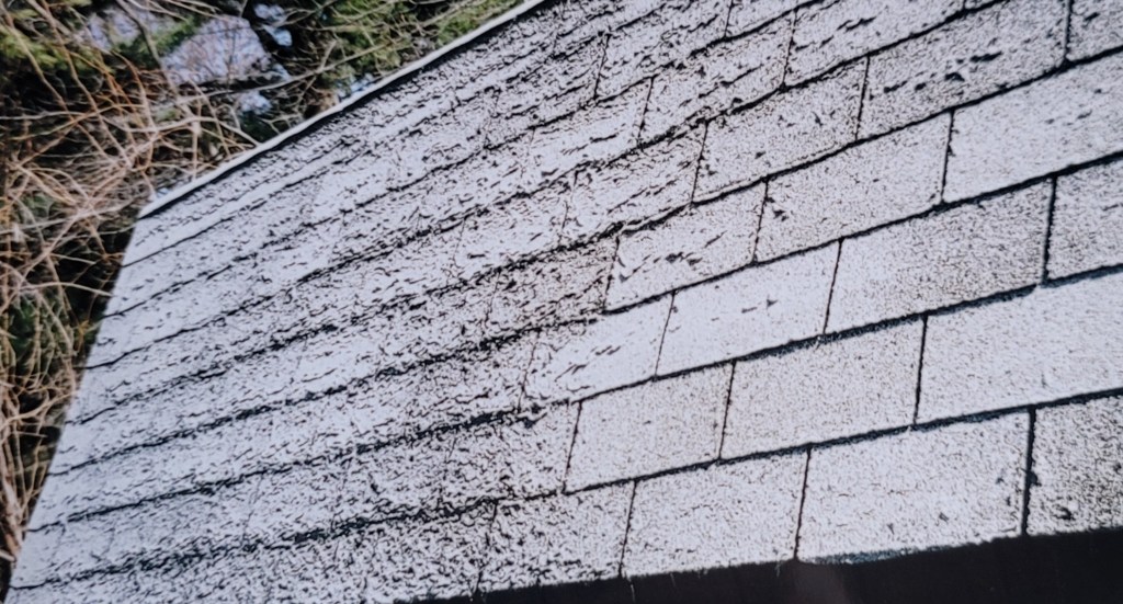 “CPTSD as Ghost” by Kate&nbsp;Pyontek