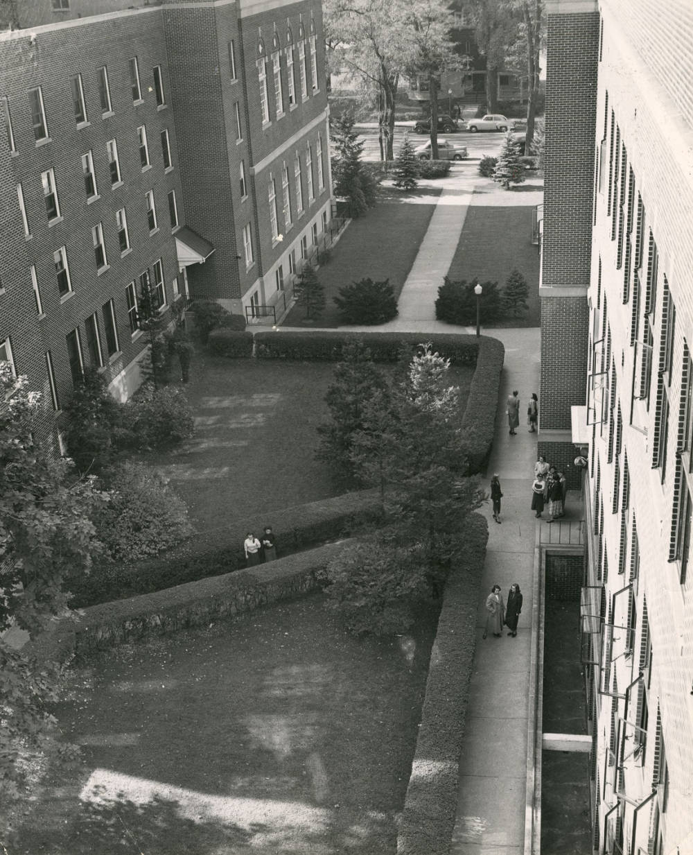 “On College” by Merridawn&nbsp;Duckler