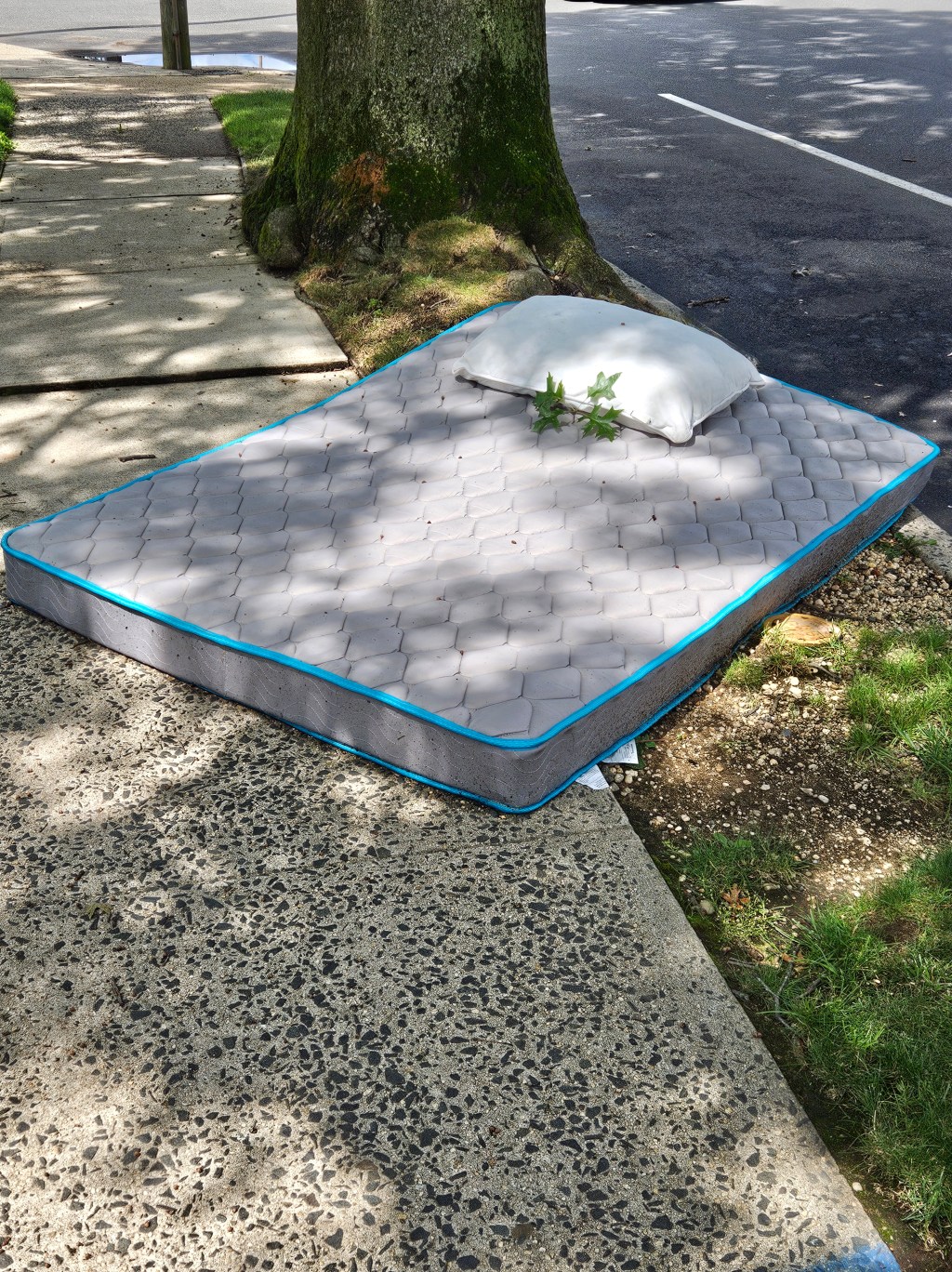 “No More Bears” by Timothy&nbsp;Gager