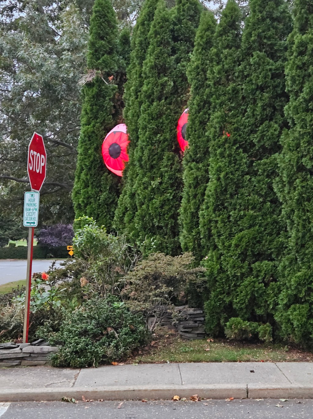 “The Little Man” by Ginny&nbsp;Bartolone