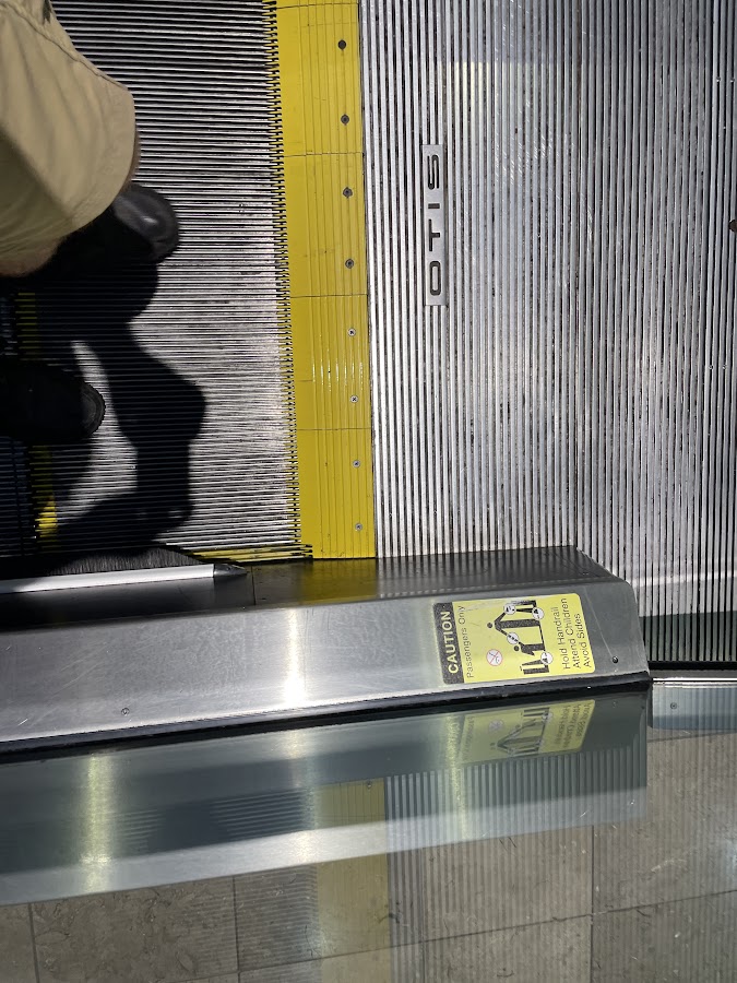 “Sylvia” by Gareth&nbsp;Fitzgerald