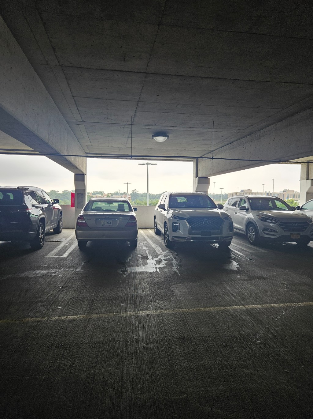 “Seagulls” by Carly&nbsp;Sachs