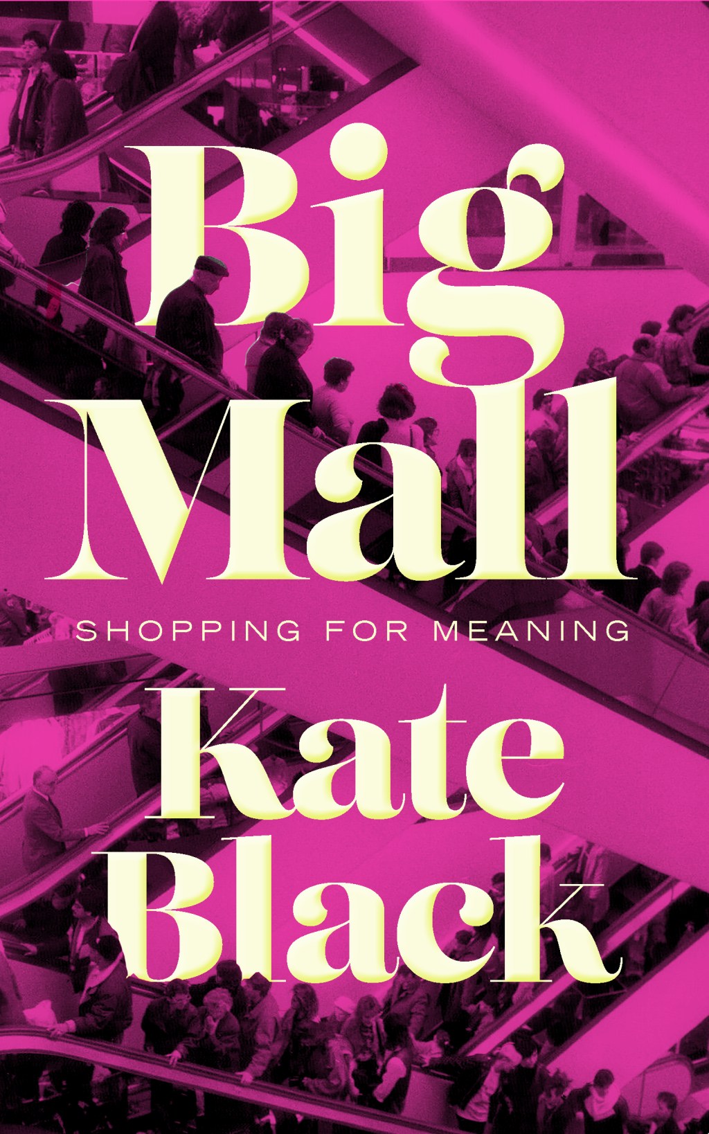 “A gigantic cathedral of consumption”: An Interview with Kate&nbsp;Black