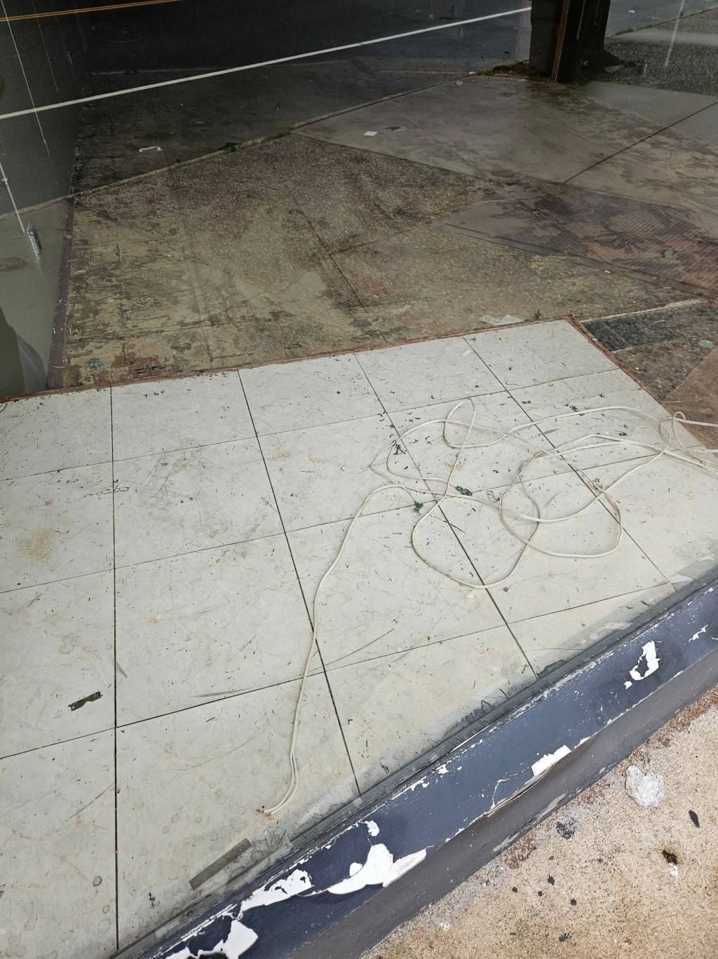 “The Five-Year Anniversary of the Tornado That Took Down Turtle Creek” by Sarah&nbsp;Watkins