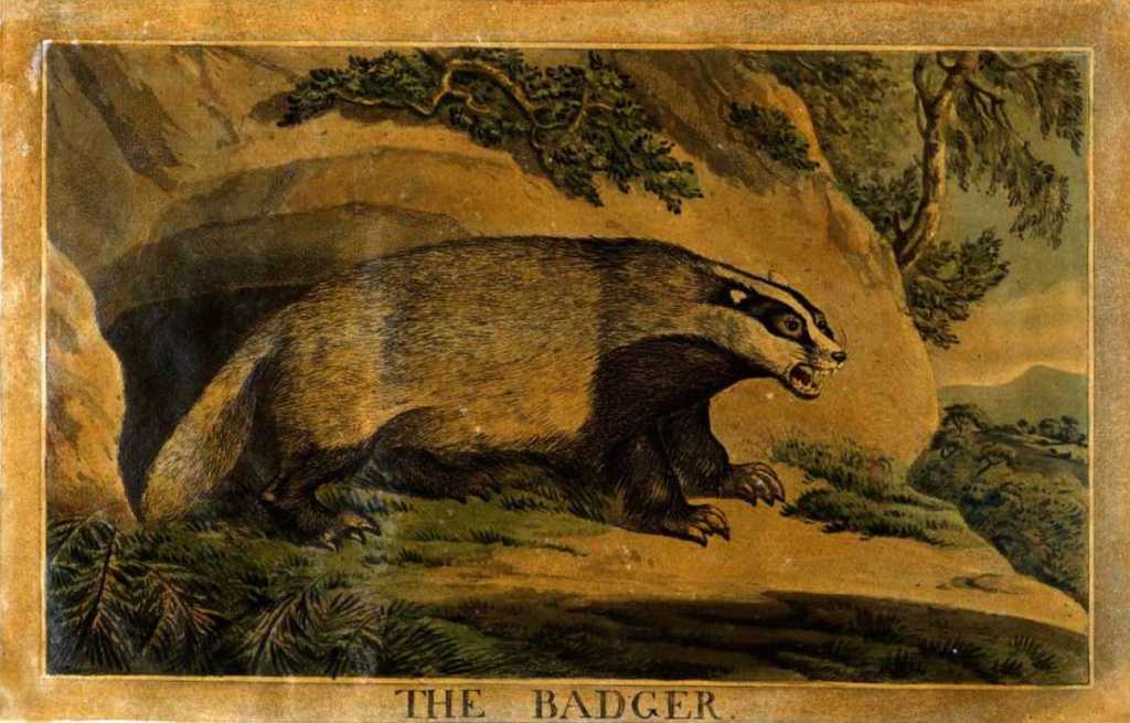 “Do You Hear a Sound Like Someone in Mittens Piling Rocks in Secret?” by Tarn&nbsp;Wilson