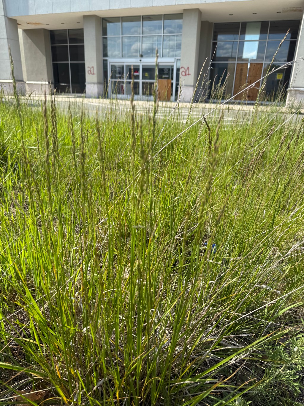 “42°29’43.4″N 73°12’22.7″W” by Cleo&nbsp;Levin