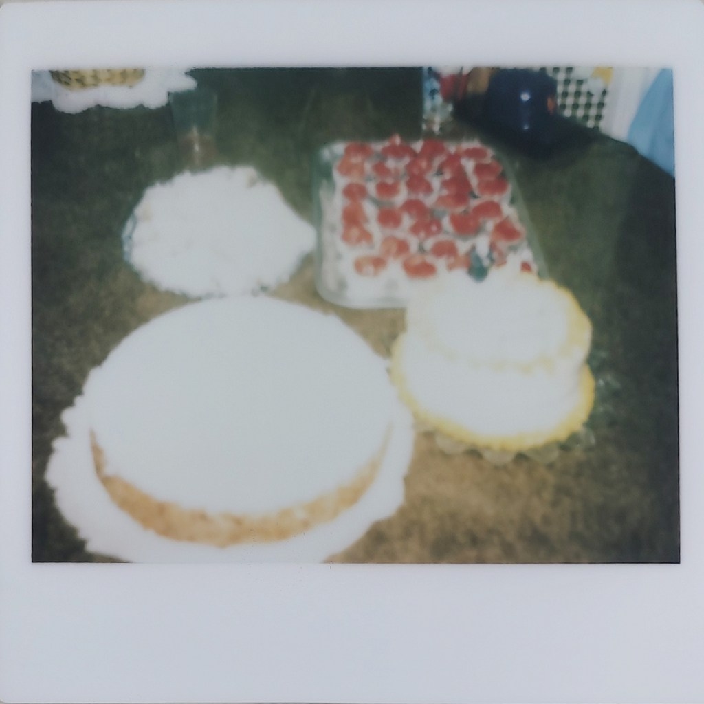 “Last Roll of Film” by Bethany&nbsp;Bruno