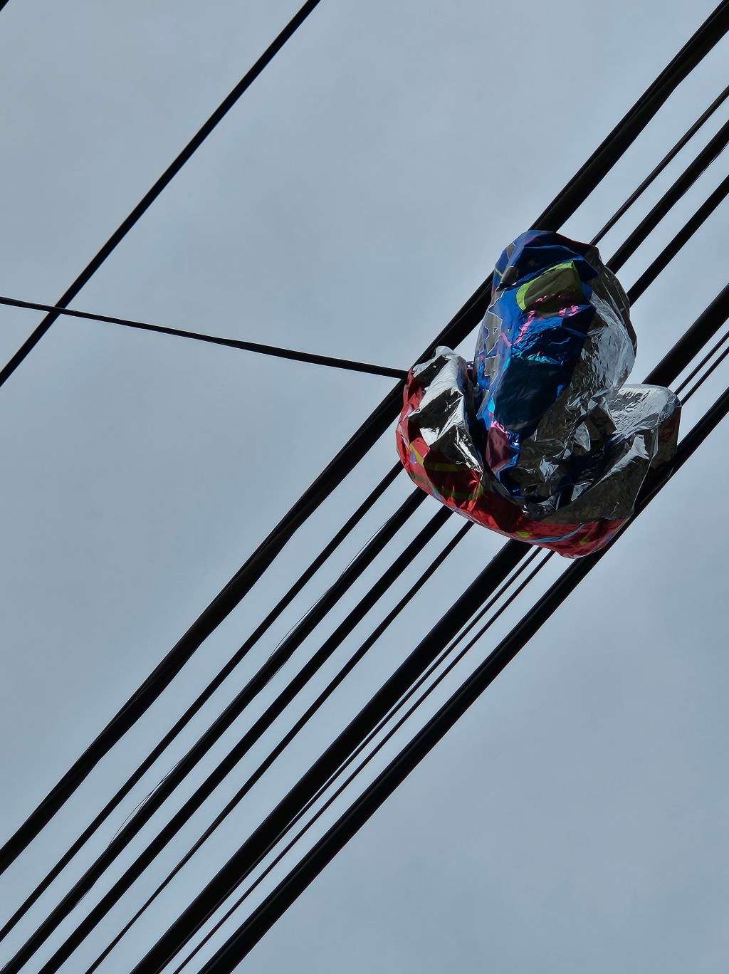 “Because can begin a sentence” by John Wise