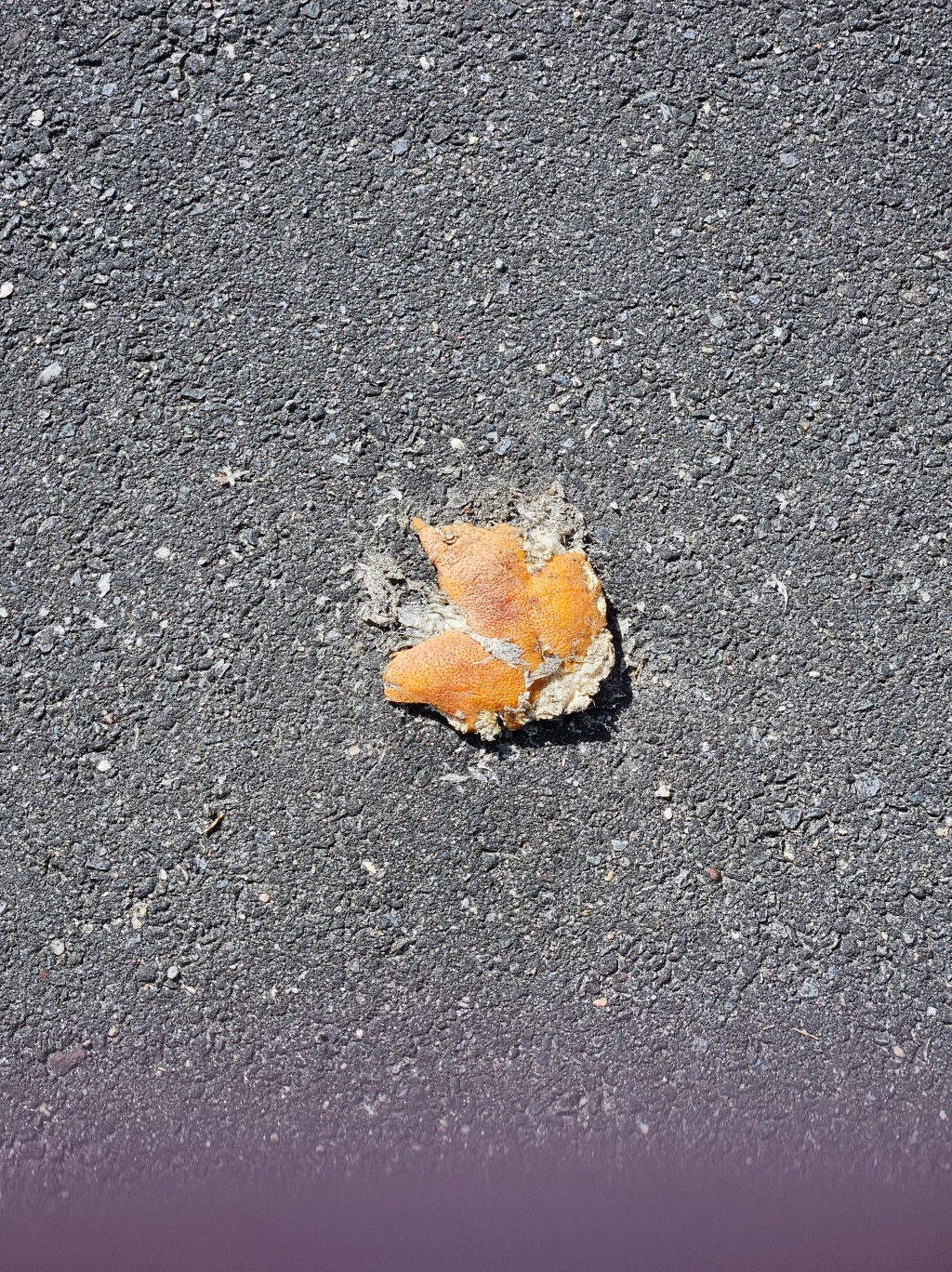 “Peeling” by Don&nbsp;Narkevic